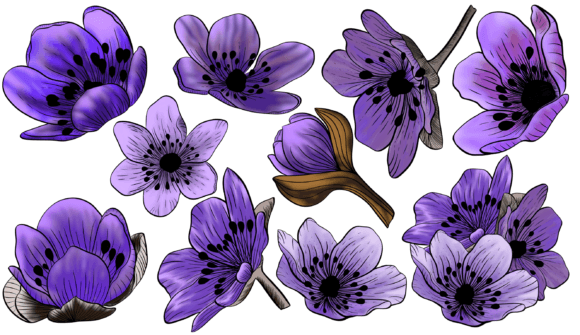 Blue Floral Watercolor Elements
