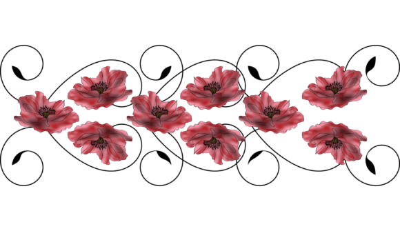 Digital Border Red Poppy Png for Creative Projects