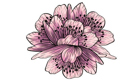 Pink Floral Element Png