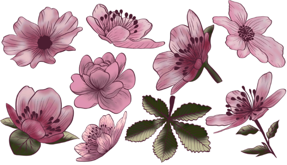 The Rise of Set of Floral Elements Png in Modern Design and Creativity