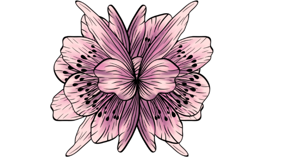 Watercolor Pink Floral Element Png